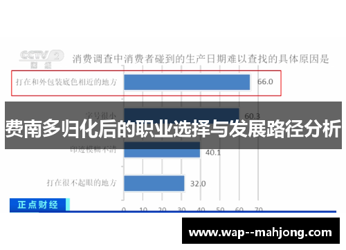 费南多归化后的职业选择与发展路径分析