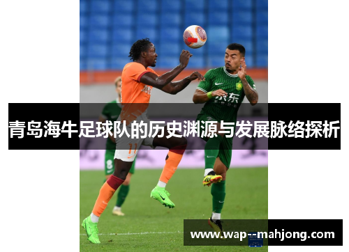 青岛海牛足球队的历史渊源与发展脉络探析