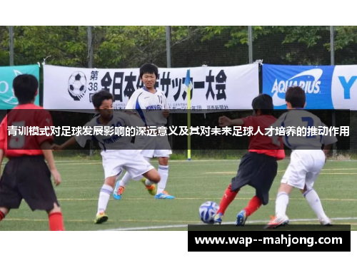 青训模式对足球发展影响的深远意义及其对未来足球人才培养的推动作用